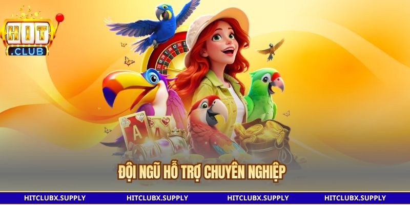 Đội ngũ hỗ trợ chuyên nghiệp