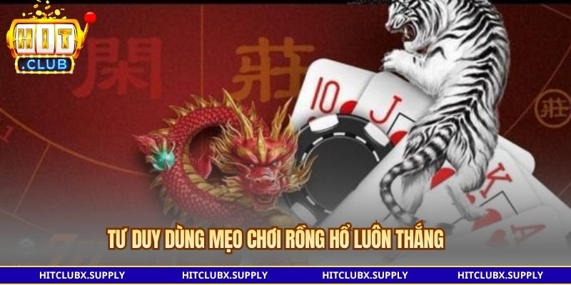 Tư duy dùng mẹo chơi rồng hổ luôn thắng