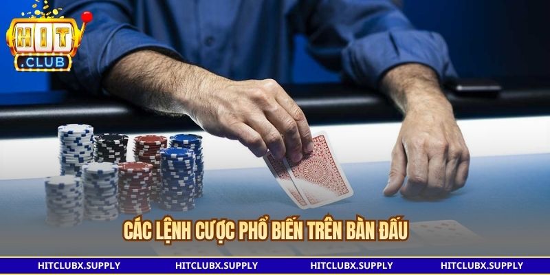 Các lệnh cược phổ biến trên bàn đấu